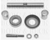 RENAU 25185700 Repair Kit, kingpin